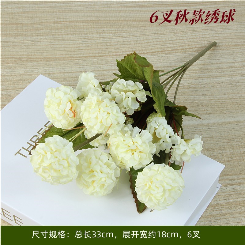 Autumn hydrangea white