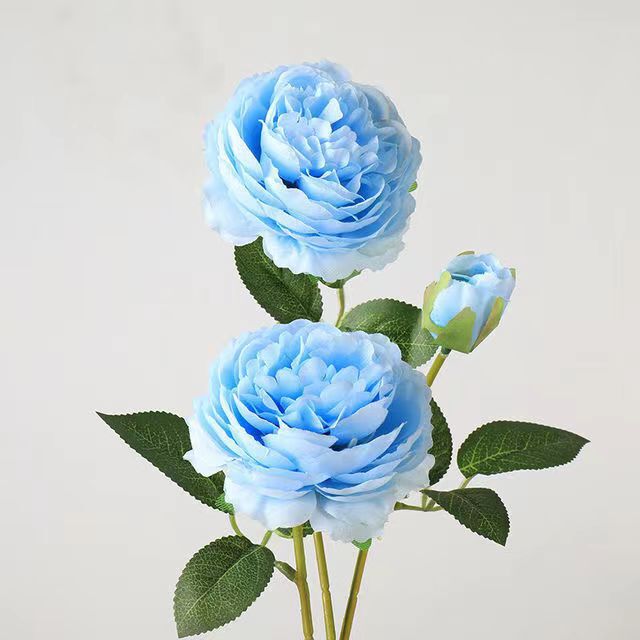 洋牡丹の造花は花の家庭の客間に花束を飾っています。|undefined