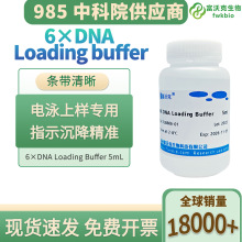 琼脂糖DNA电泳 6×DNA Loading buffer  DNA上样缓冲液 核酸电泳