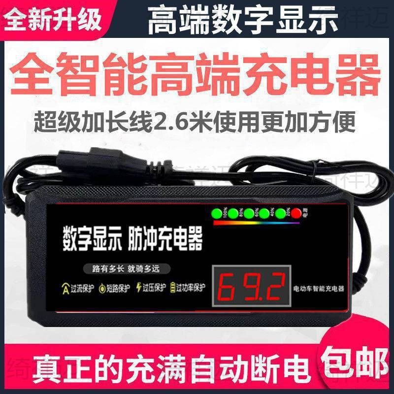 アクティブバッテリー修理装置電気自動車充電器 48V60v72v パルスメンテナンスバッテリー鉛蓄電池|undefined