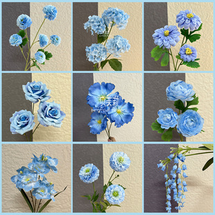 2025�{ɫ���滨 �Ƶ��Y���������b��^�̈�����ܛ�b����ٻ�