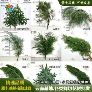 r}QջlZؐŮѩ}QrЂȰr