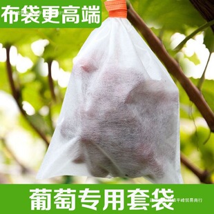 �F؛�o���������״�ˮ���������@�����״����B���m���x͸������l