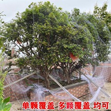 ¿BּΌ˙{ݮ@oW˵̨o