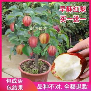 �޽�����簫�����ּtɫ���������ϱ����Nֲ�������Թ��䮔��Y��