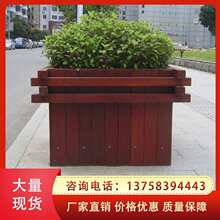 ����ľ�M�ϻ�����⻨�ۻ��軨���Nֲ��̼��ľ����N���䷽��