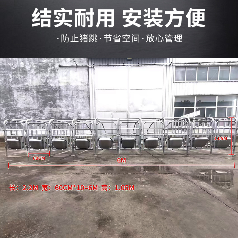 Cercas de límite de piso de stock de fábrica Cerdas de posicionamiento Cerdas de cría de ganado Tubo de acero galvanizado en caliente Cercas de posicionamiento de piso