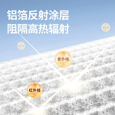Car snow shield: Snow Shield, Windshield, Winter Car