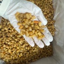 大连干贝瑶柱特级海鲜干货扇贝柱肉元贝500g淡干瑶柱一德路批发