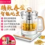 自动加厚多功能电热养生壶