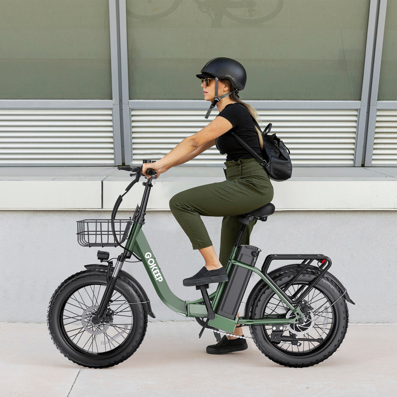 Customized Fat Tire Folding Electric Bicycle with Long Battery Life, Lithium Battery, Electric Assist for Commuting, Popular Cross-Border Model