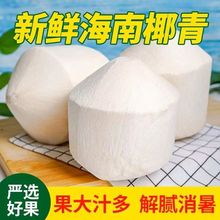 ����Ҭ�����rҬ��9���b�����ЋDˮ��Ҭ���ȥƤ��ˮҬ��������]