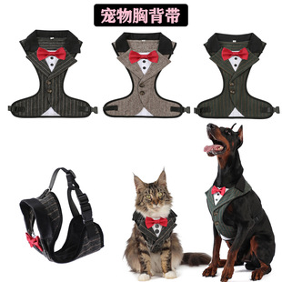 �S�����l�����ر��������K���ﱳ�Ĵ���ȮС��Ȯ�Y�������ر���