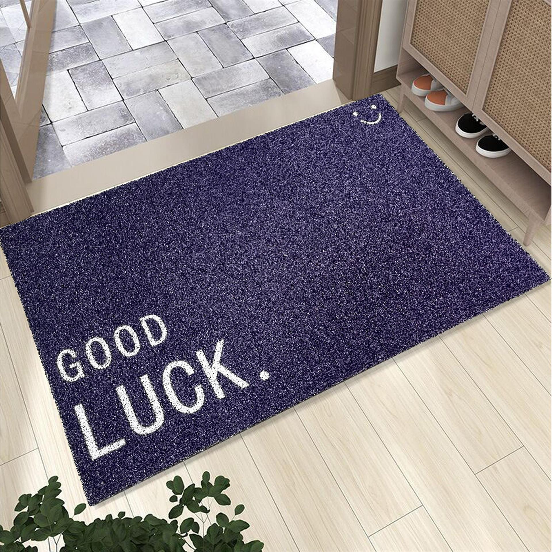 Front door entryway threshold swing door hall area shaggy carpet doormat anti-slip dustproof home creative Instagram style