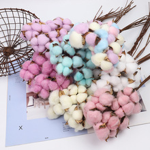��ɫ��ɫ���Uľ�޻��ɻ����l�޻��^�b��[���}�Q�����hdiy����