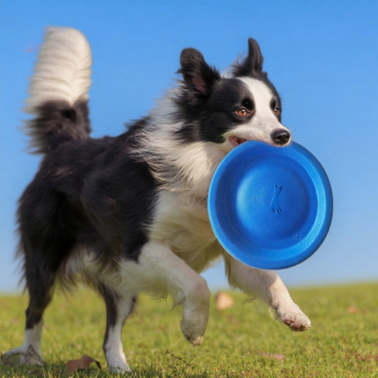 Nuevo tipo transfronterizo de entrenamiento de perros EVA Frisbee suave juguetes de mascotas para perros grandes y medianos acompañados de dientes resistentes a la mordida image 1