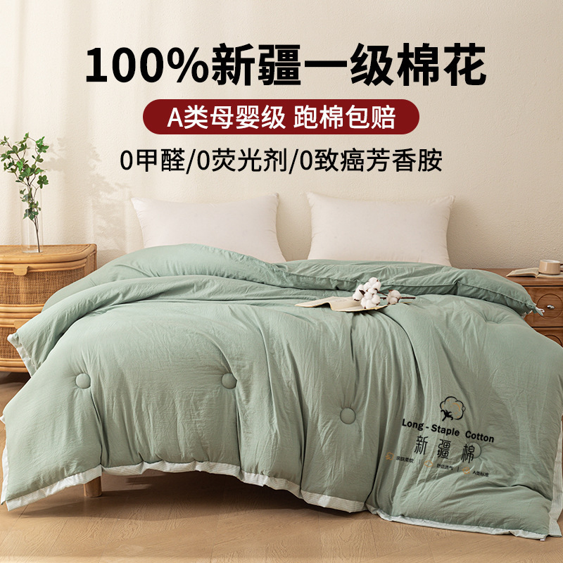 Xinjiang edredón de algodón de invierno edredón de algodón de invierno engrosado productos de algodón cálido edredón de primavera y otoño único núcleo de algodón