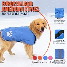 �S��ֱ�N���R�d���N������� �����Ӻ����������洩�����A��
