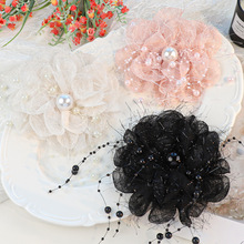 2025�¿��nʽĵ����ˇ���K�������ץ�A�^����ë�ɚ⻨���Ʒ���l