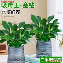 �������ֲ���K��荾G�}�jˮ����~�Gֲ�����k���҃ȑ��˺��B����