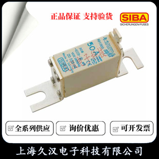 2055804 Siba SIBA Fuse DIN000-50/63/80/100/125/160A Fuse
