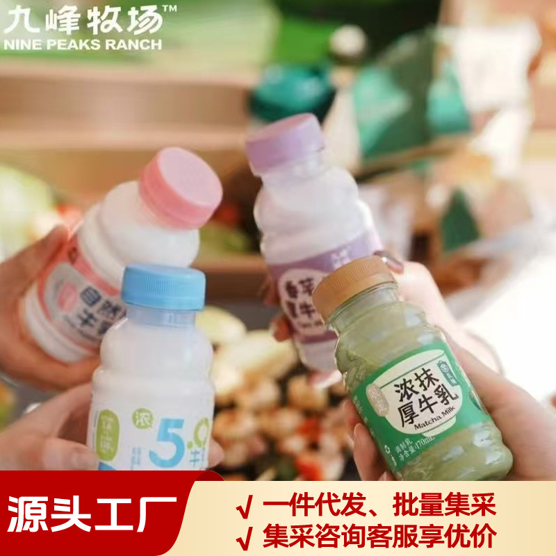 Jiufeng Ranch 5.0 Milk Naturally Sweet Milk Cloud Milk Matcha Thick Milk Taro Thick Milk Low-Temperature Milk Jiufeng Ranch 5.0 Milk Naturally Sweet Milk Cloud Milk Matcha Thick Milk Taro Thick Milk Low-Temperature Milk