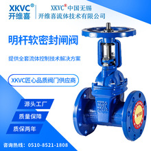 XKVC开维喜阀门明杆软密封法兰闸阀Z41X-16Q球铁消防防护闸阀1500