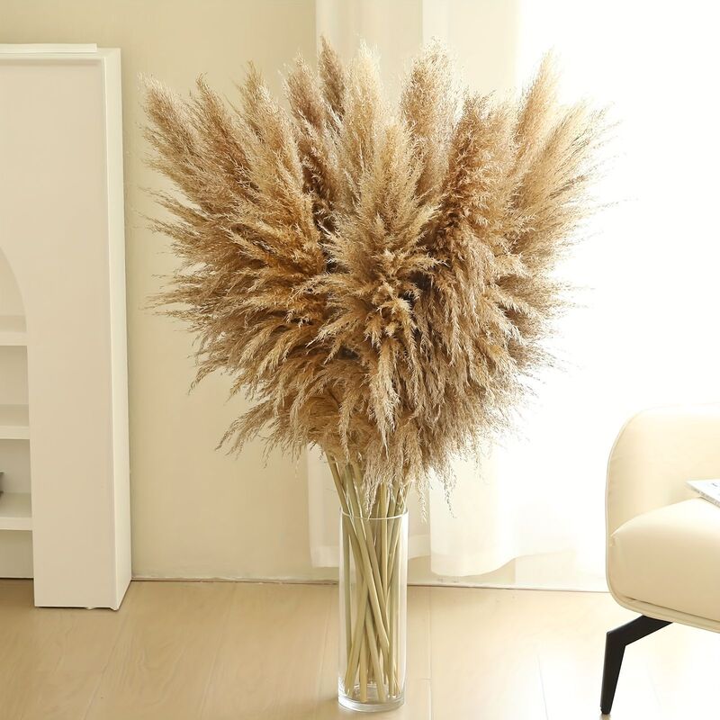 Cross-border direct purchase of natural 3A-grade reeds, dried reeds for wedding decorations, home DIY decorations, and commercial reed arrangements