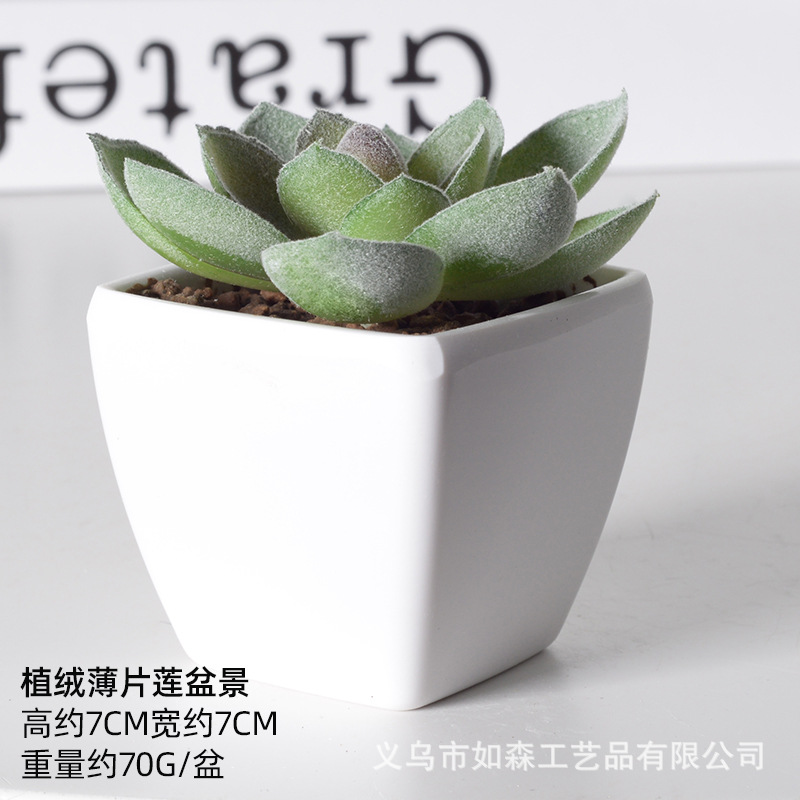 Simulación de plástico carnoso bonsai flor falsa combinación oficina interior escritorio plantas verdes pequeños adornos plantas artificiales al por mayor image 48