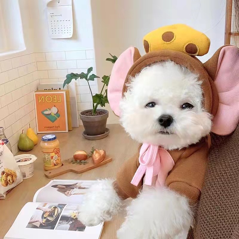 끈이 달린 갈색 쥐 치즈