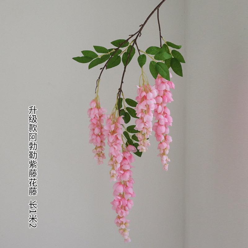 다섯 갈래 아버레 등나무 꽃 라이트 핑크