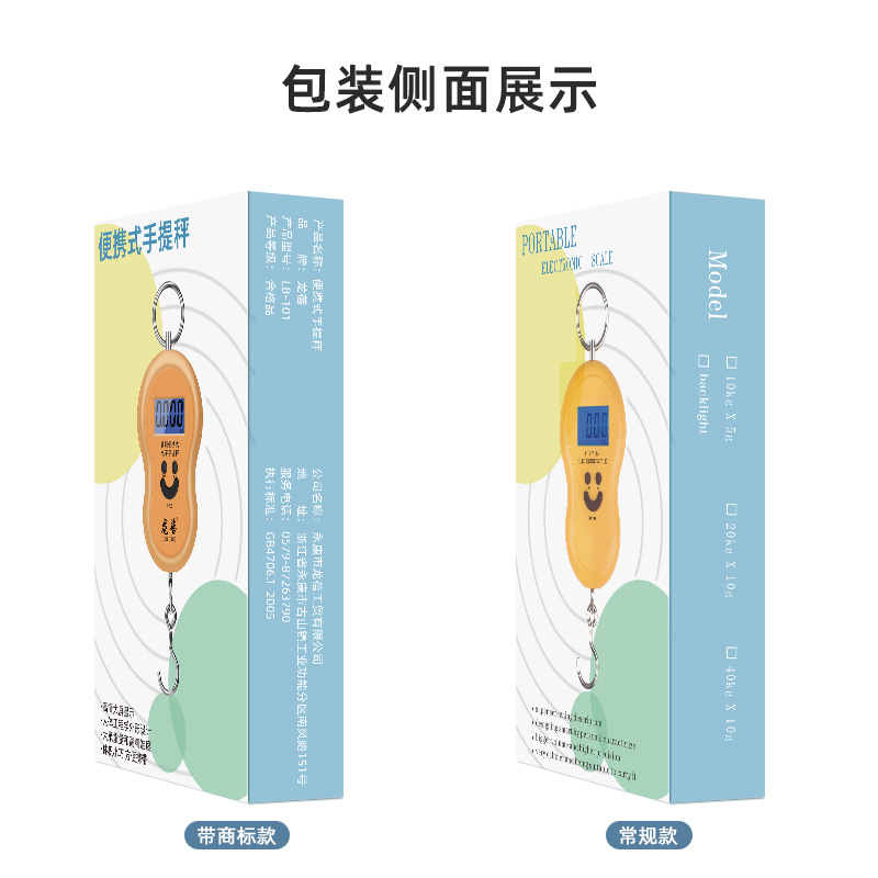 Home Use Portable Electronic Scale Mini Handheld Precise Digital Scale Hook Spring Weighing Food Gram Scale