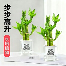 ���F���Ĳ���ˮ�B��������ȩ�k���ҿ͏d�b��}�QԪ���YƷ�����՚�