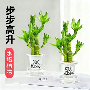 ���F���Ĳ���ˮ�B��������ȩ�k���ҿ͏d�b����՚�Gֲ����ˮ�B