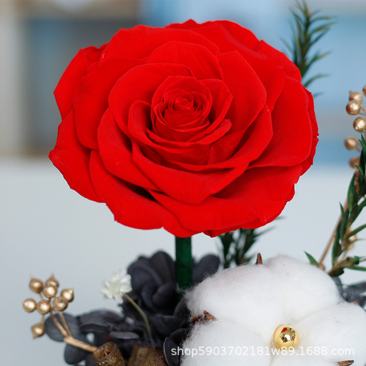 Día de San Valentín Rosa regalo para novia al por mayor regalo del Día DE LA Madre acompañada cubierta de vidrio Yunnan Yongsheng flor producto terminado