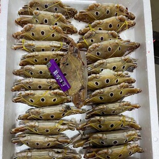 ���cз�r���������з����з��Ŀз���з����������ʳ��8������