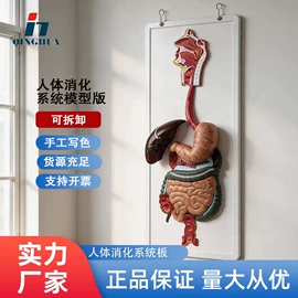 数理教学器材;教学演示用品;生物教学器材