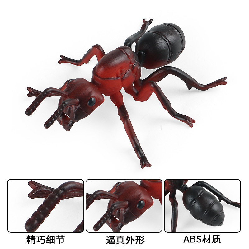 兒童認知仿真實心野生動物模型紅蟻螞蟻塑膠玩具盆栽場景擺件批發