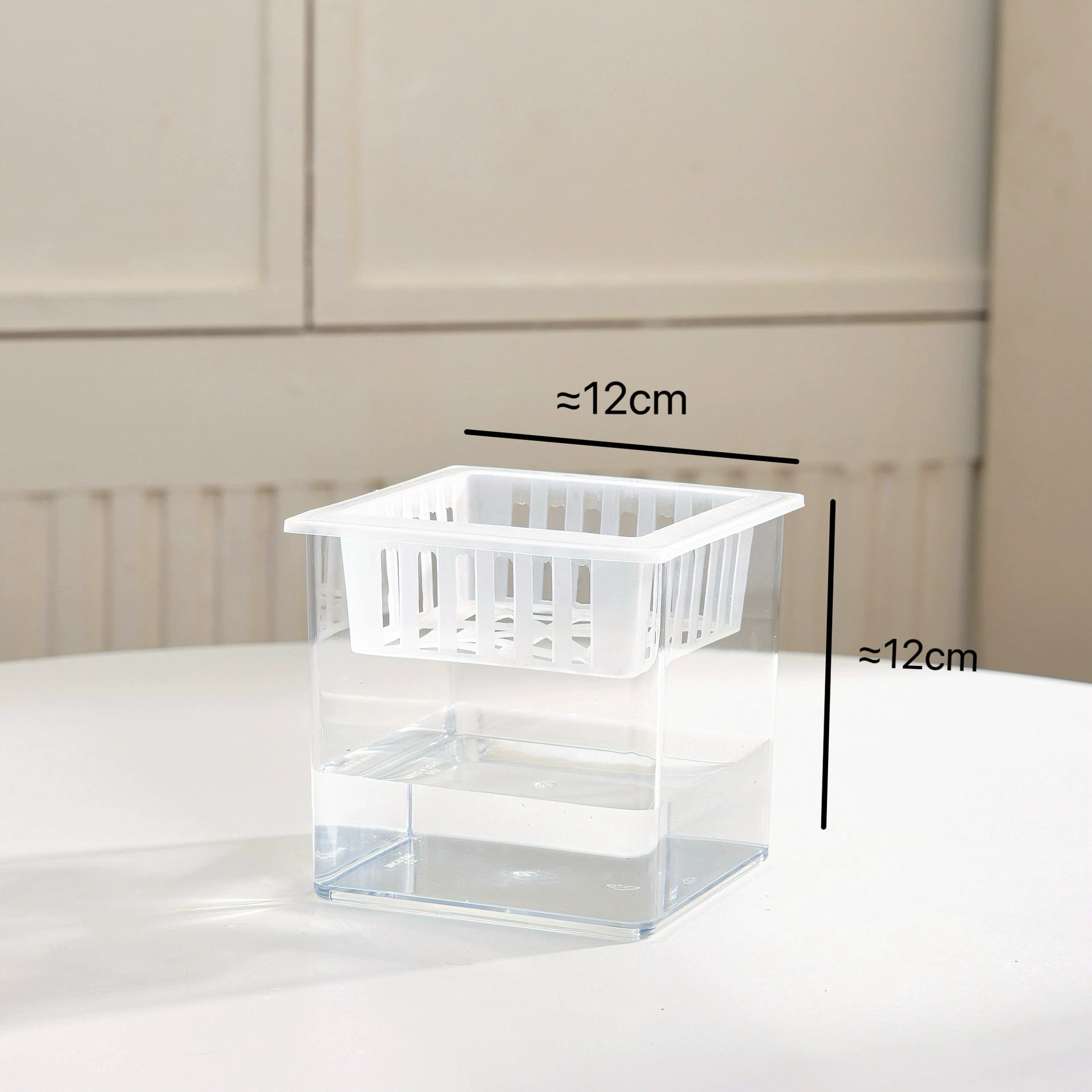 Transparent Square Hydroponic Vase, Desktop Shatterproof Planter, Multiple Sizes (8–30 cm)
