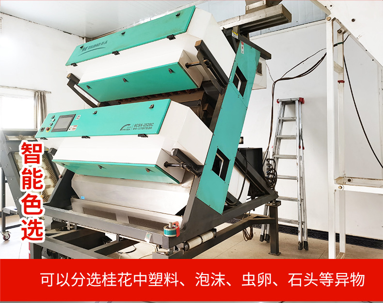 金粟桂花详情_14