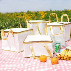 手提便攜式飯盒袋蛋糕保鮮保溫包食品無紡布外賣保溫袋鋁箔冷藏袋