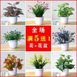 仿真花草植物假绿植室内外装饰绿萝塑料小盆栽桌面满天星红掌摆件