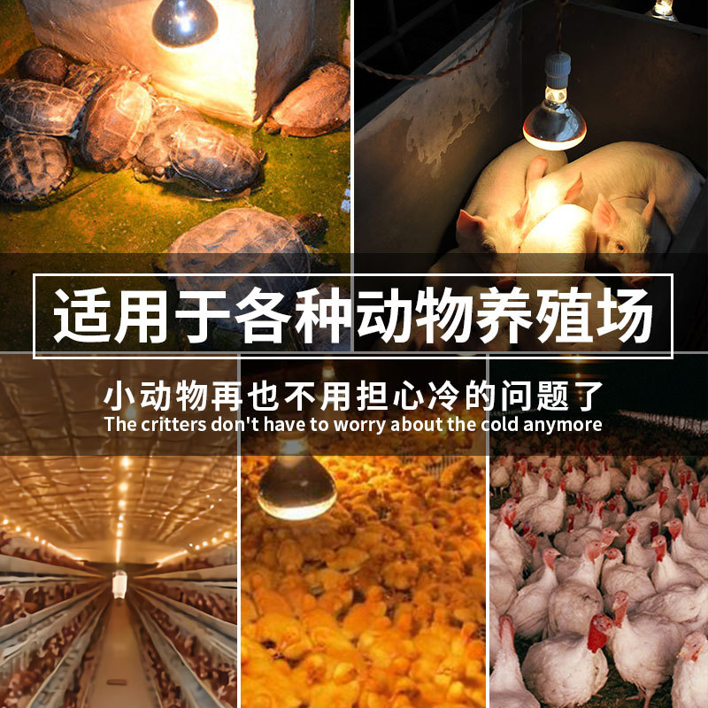 Lámpara de aislamiento térmico para cerdos lámpara térmica de cerdo para la granja de pollos especial engrosada lechón calefacción cría calefacción bombilla para la venta