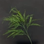 布置婚礼仿真拍摄绿植