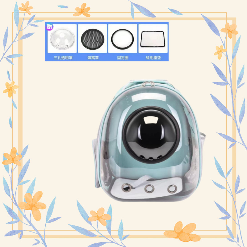 넓은 공간과 대용량, 연한 녹색 투명 모델