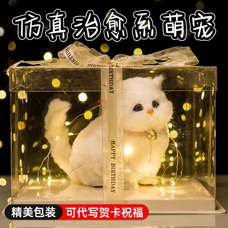 Gato Chichi, regalo de cumpleaños para su esposa, amiga, compañera de clase, regalo de caja de regalo asequible. image 12