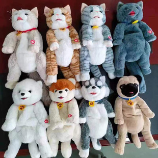 늄�ë�q������ﱳ��؈�乷��������|�������ɕ��W�fԒ�������