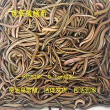 �S�XҰ��С�S�X��С�S�X�r��������Ұ���L�~���X�~�����l�S�����l