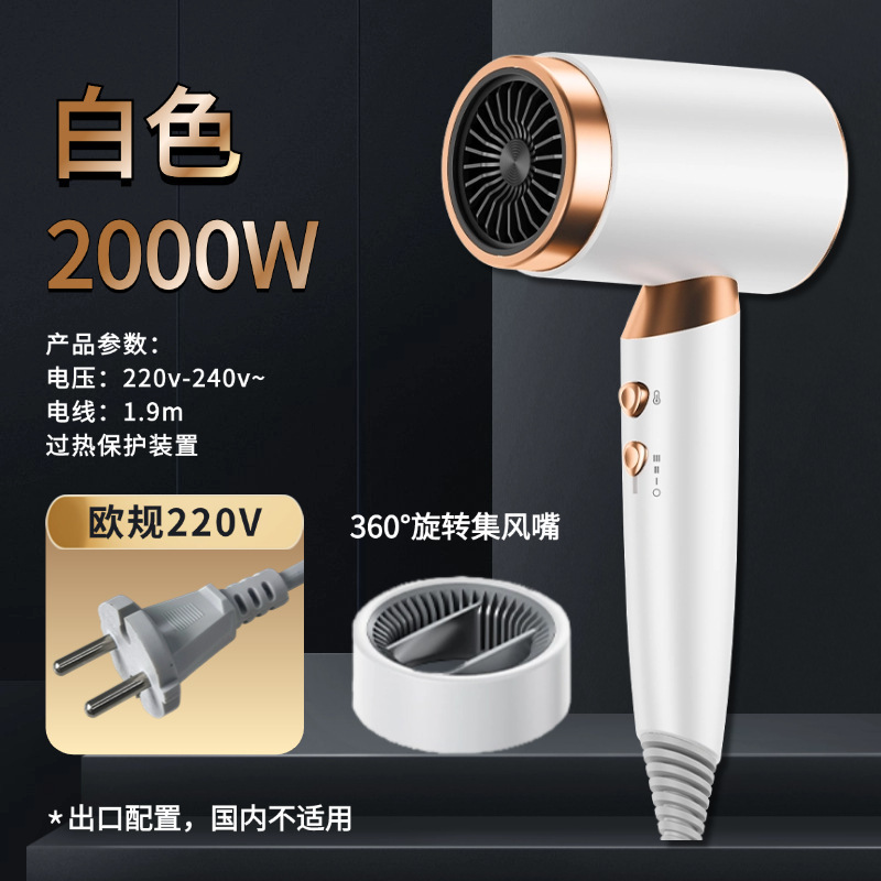 国境を越えたヘアドライヤー家庭用寮冷熱風マイナスイオンネット赤大出力ギャラリー電気ブローメーカー卸売り|undefined