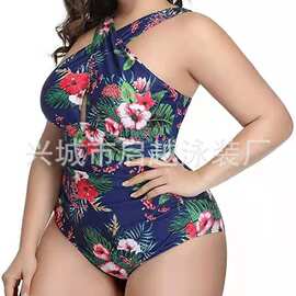 欧美跨境专供速卖通亚马逊大码连体女士度假休闲新款泳衣比基 尼